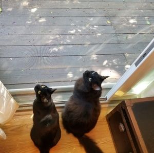 Meet your Posher, Denise